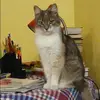 Отзыв от Клара Артемова